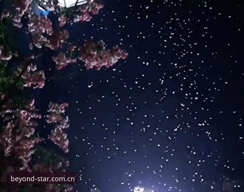 星空入口旧版数据迁移 揭秘星空入口旧版数据迁移:别再说“我找不到我的账户了”